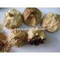 China Black Garlic para o mercado de Europa